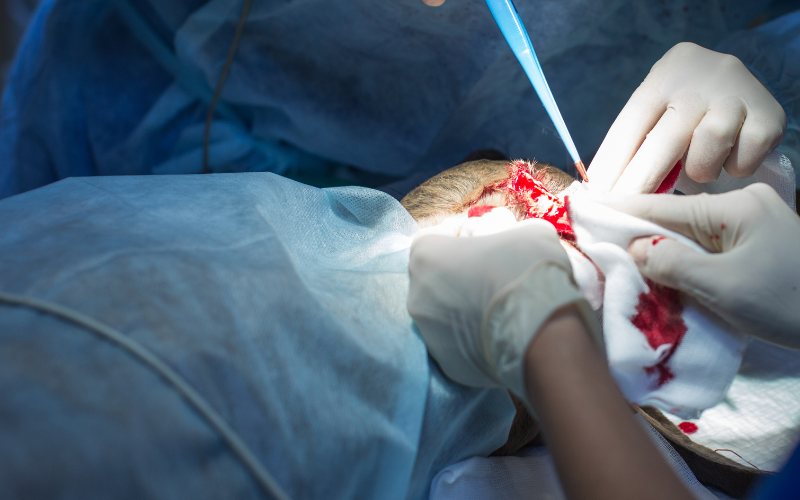 Circumcision