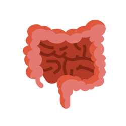 Intestine Problem
