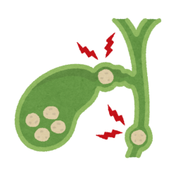 Gall Bladder