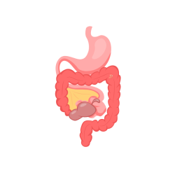 Gastro Intestinal